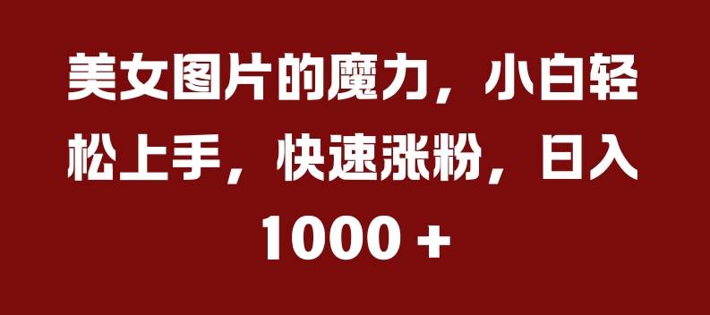 美女图片的魔力，小白轻松上手，快速涨粉，日入几张【揭秘】-玖卿社区