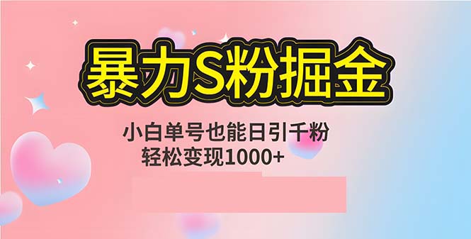 单人单机日引千粉，变现1000+，S粉流量掘金计划攻略-玖卿社区