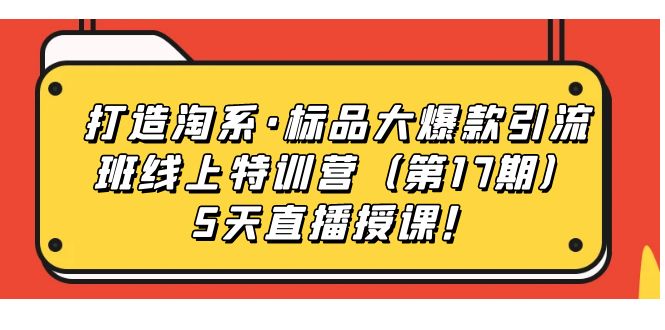 打造淘系·标品大爆款引流班线上特训营（第17期）5天直播授课！-玖卿社区