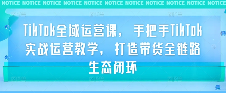 TikTok全域运营课，手把手TikTok实战运营教学，打造带货全链路生态闭环-玖卿社区