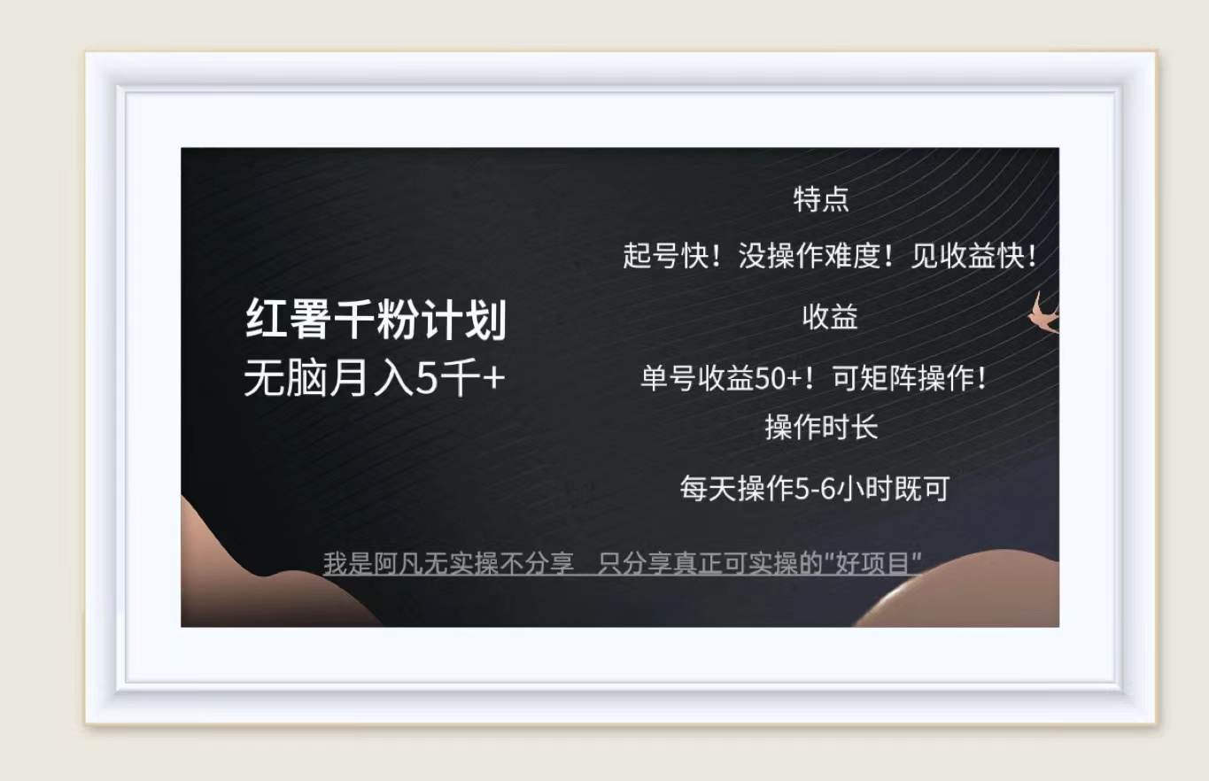 （12560期）红薯千粉计划无脑月入5千+！既做既赚！-玖卿社区