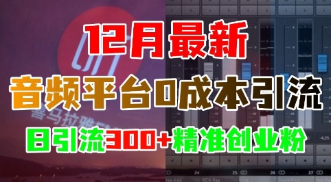 12月最新：音频平台0成本引流，日引流300+精准创业粉-玖卿社区