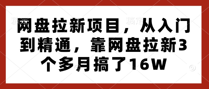 网盘拉新项目，从入门到精通，靠网盘拉新3个多月搞了16W-玖卿社区