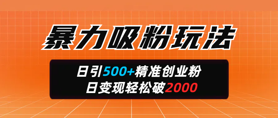 暴力吸粉玩法，日引500+精准创业粉，日变现轻松破2000-玖卿社区