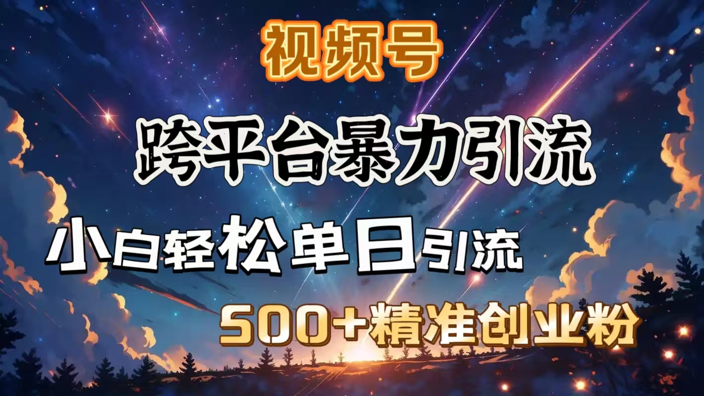 视频号跨平台暴力引流，小白轻松单日引流500＋精准创业粉-玖卿社区
