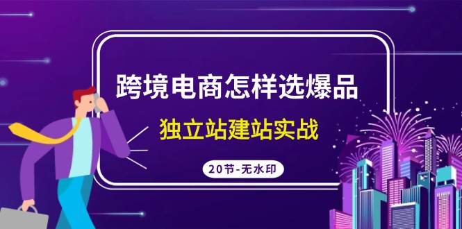 跨境电商怎样选爆品，独立站建站实战（20节高清课）-玖卿社区