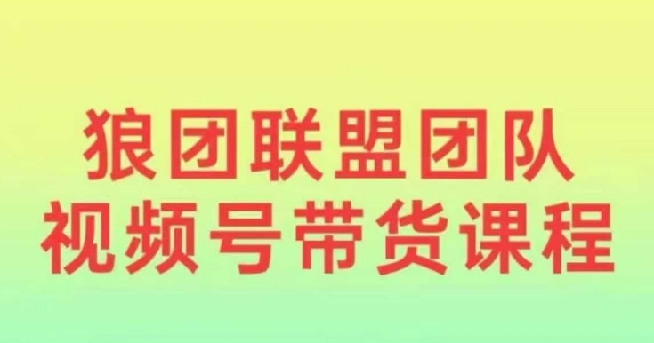 狼团联盟2024视频号带货，0基础小白快速入局视频号-玖卿社区