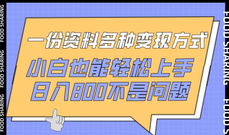 一份资料多种变现方式，小白也能轻松上手，日入800不是问题-玖卿社区