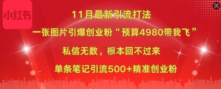 小红书11月最新图片打粉，一张图片引爆创业粉，“预算4980带我飞”，单条引流500+精准创业粉-玖卿社区