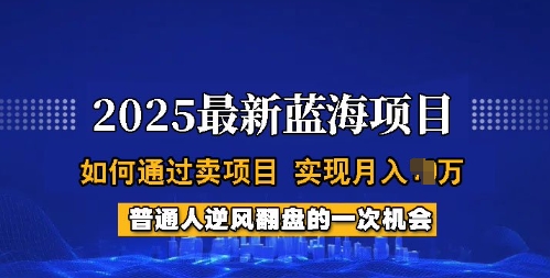 2025蓝海项目，普通人如何通过卖项目，实现月入过W，全过程【揭秘】-玖卿社区
