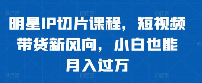 明星IP切片课程，短视频带货新风向，小白也能月入过万-玖卿社区