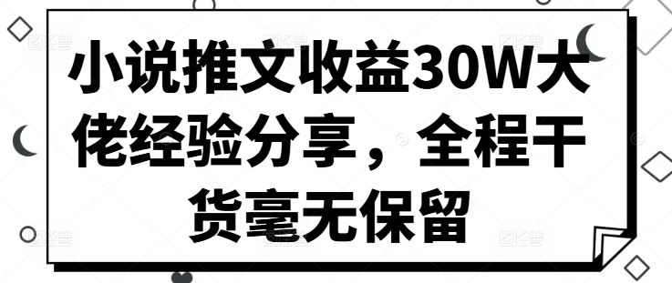 小说推文收益30W大佬经验分享，全程干货毫无保留-玖卿社区