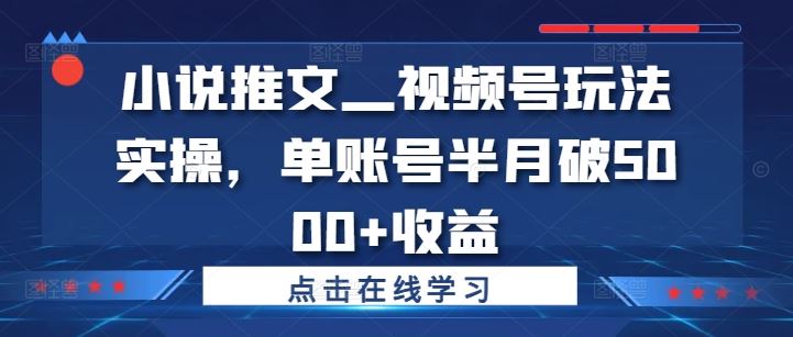 小说推文—视频号玩法实操，单账号半月破5000+收益-玖卿社区