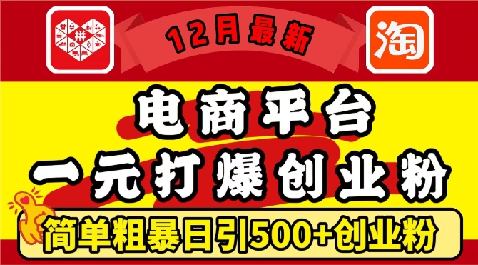 12月最新：电商平台1元打爆创业粉，简单粗暴日引500+精准创业粉，轻松月入过W【揭秘】-玖卿社区