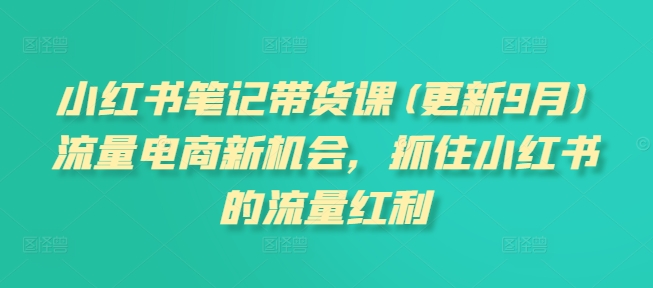 小红书笔记带货课(更新25年1月)流量电商新机会，抓住小红书的流量红利-玖卿社区