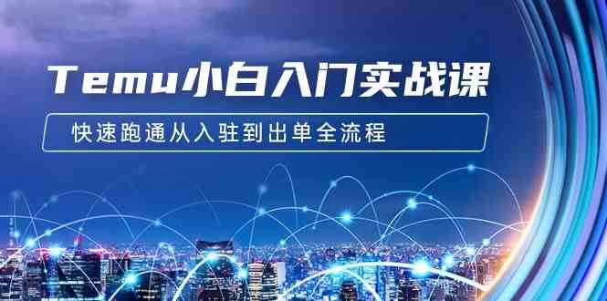 （9295期）Temu小白入门实战课：跨境拼多多电商培训 快速跑通从入驻到出单全流程-12节-玖卿社区
