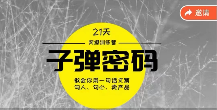 《子弹密码训练营》用一句话文案勾人勾心卖产品，21天学到顶尖文案大师策略和技巧-玖卿社区
