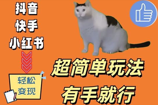 超简单玩法，有手就行，靠猫咪视频日入500+【揭秘】-玖卿社区