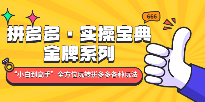 拼多多·实操宝典：金牌系列“小白到高手”带你全方位玩转拼多多各种玩法-玖卿社区