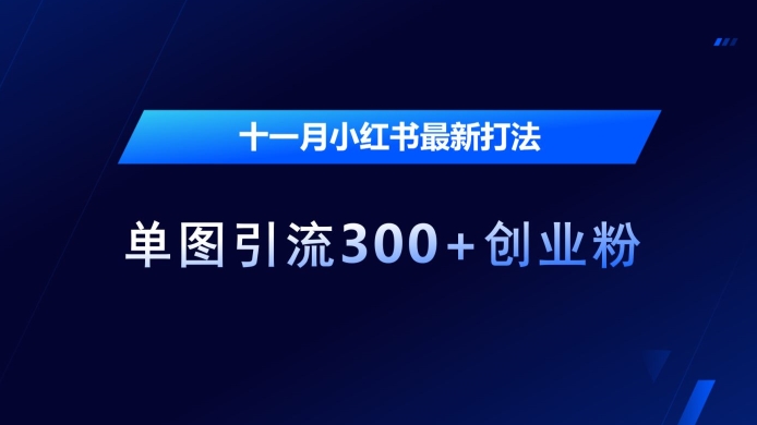 十一月小红书最新打法，单图引流300+创业粉【揭秘】-玖卿社区
