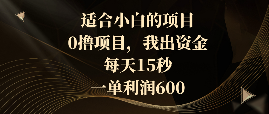 适合小白的项目，0撸项目，我出资金，每天15秒，一单利润600-玖卿社区