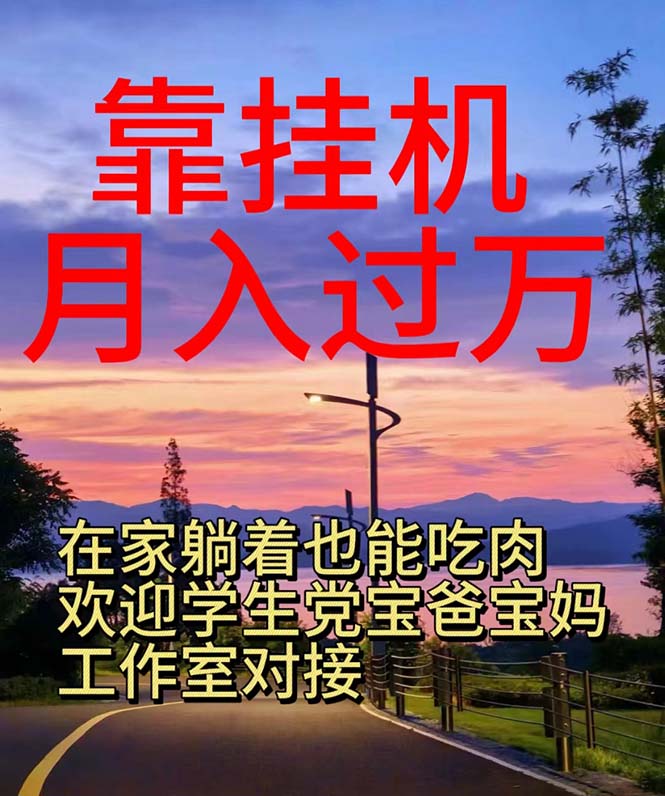 （10838期）靠挂机，日入1000+，躺着也能吃肉，适合宝爸宝妈学生党工作室，电脑手…-玖卿社区