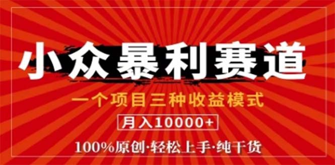 视频号最新爆火赛道，三种可收益模式，0粉新号条条原创条条热门 日入1000+-玖卿社区