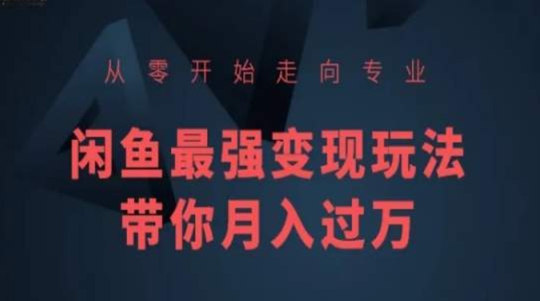 从零开始走向专业，闲鱼最强变现玩法带你月入过万-玖卿社区