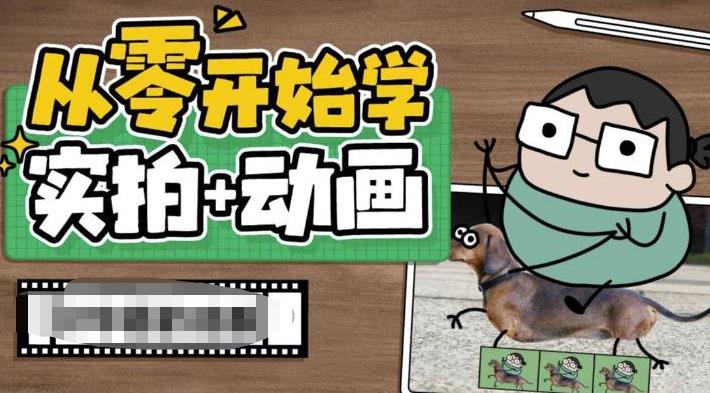 从零开始学实拍加动画，实拍加动画创意教程（49节视频课）-玖卿社区