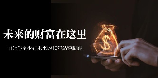 某收费文章《未来的财富在这里》能让你至少在未来的10年站稳脚跟-玖卿社区