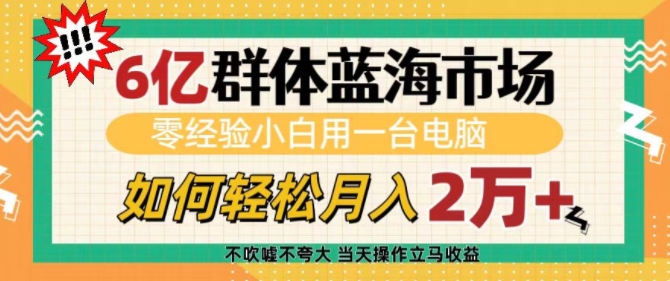 6亿群体蓝海市场，零经验小白用一台电脑，如何轻松月入过w【揭秘】-玖卿社区