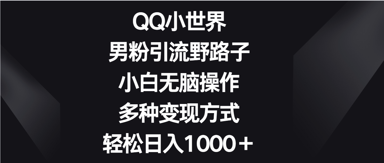 QQ小世界男粉引流野路子，小白无脑操作，多种变现方式轻松日入1000＋-玖卿社区
