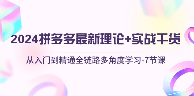 （10816期）2024拼多多 最新理论+实战干货，从入门到精通全链路多角度学习-7节课-玖卿社区