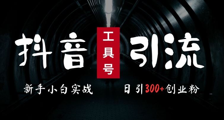 2024最新抖音工具号引流玩法，高效日引300+创业粉，当天变现5k，小白也可成为实战高手-玖卿社区