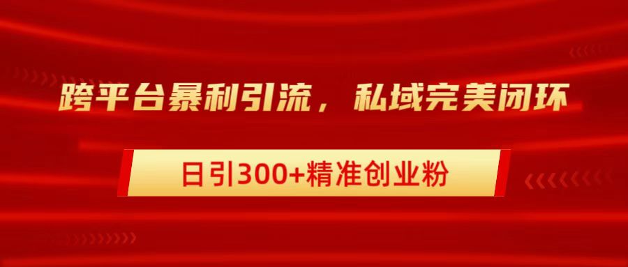跨平台暴力引流，私域完美闭环，日引300+精准创业粉-玖卿社区