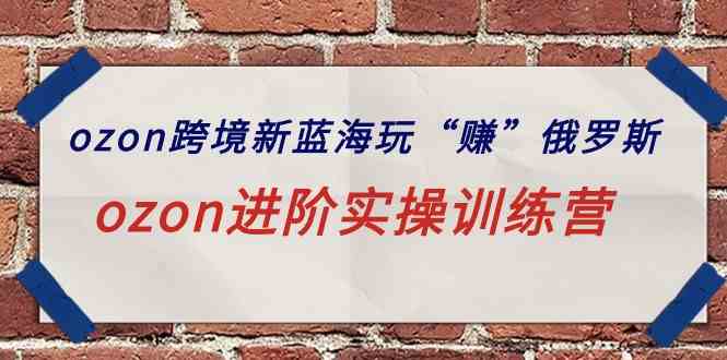 （9800期）ozon跨境新蓝海玩“赚”俄罗斯，ozon进阶实操训练营-玖卿社区