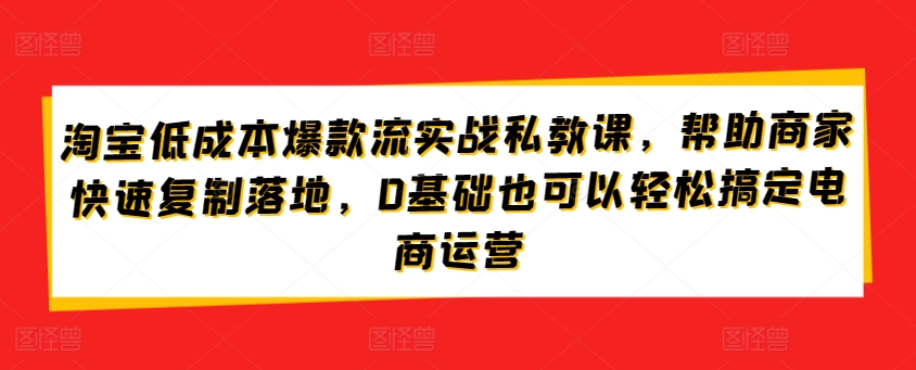 淘宝低成本爆款流实战私教课，帮助商家快速复制落地，0基础也可以轻松搞定电商运营-玖卿社区