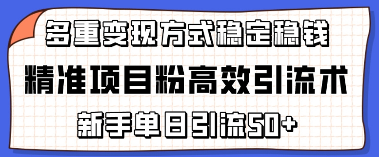 精准项目粉高效引流术，新手单日引流50+，多重变现方式稳定赚钱-玖卿社区