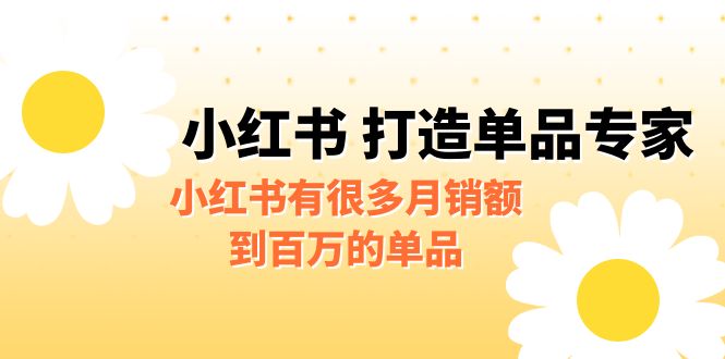某公众号付费文章《小红书 打造单品专家》小红书有很多月销额到百万的单品-玖卿社区