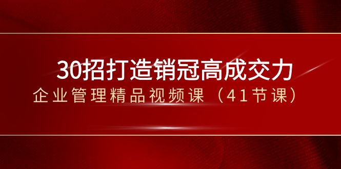 30招-打造销冠高成交力-企业管理精品视频课（41节课）-玖卿社区
