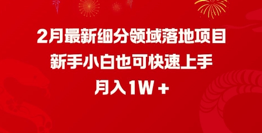 2月最新细分领域落地项目，新手小白也可快速上手，月入1W-玖卿社区