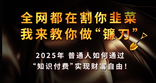 全网都在割你韭菜，我来教你做镰刀，2025年普通人如何通过 知识付费 实现财F自由【揭秘】-玖卿社区