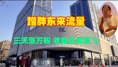 蹭胖东来流量，三天涨万粉，收益直接起飞-玖卿社区