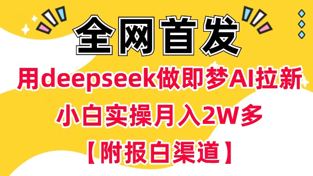 用deepseek做即梦Ai拉新 小白实操月入过W+【附报白渠道】-玖卿社区