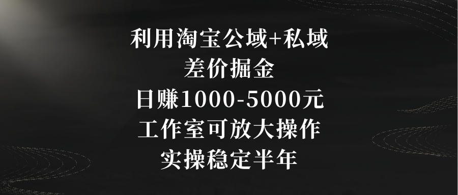 利用淘宝公域+私域差价掘金，日赚1000-5000元，工作室可放大操作，实操…-玖卿社区