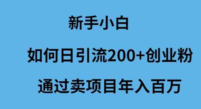 （9668期）新手小白如何日引流200+创业粉通过卖项目年入百万-玖卿社区