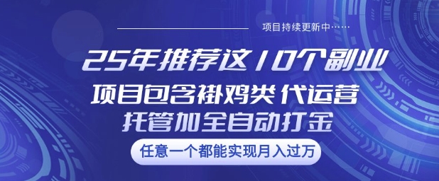 25年推荐这10个副业项目包含褂鸡类、代运营托管类、全自动打金类【揭秘】-玖卿社区