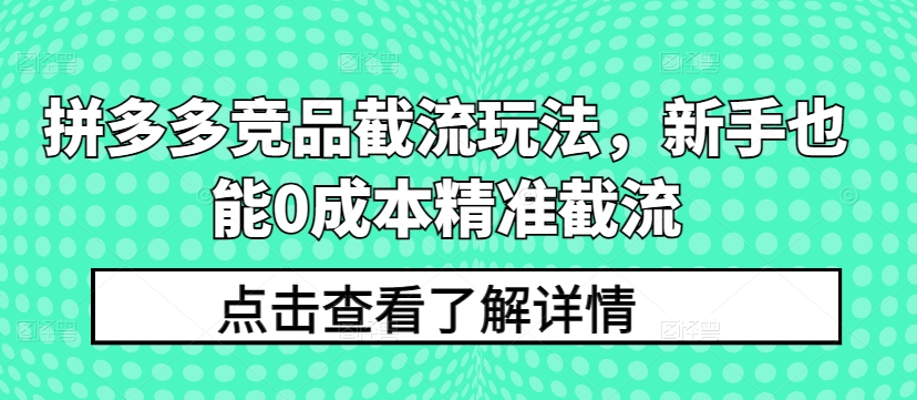 拼多多竞品截流玩法，新手也能0成本精准截流-玖卿社区