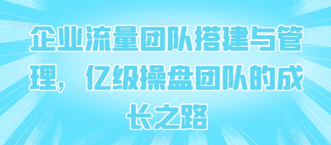 企业流量团队搭建与管理，亿级操盘团队的成长之路-玖卿社区