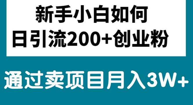 （10843期）新手小白日引流200+创业粉,通过卖项目月入3W+-玖卿社区
